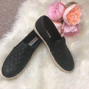 Steve Madden ECENTRCQ